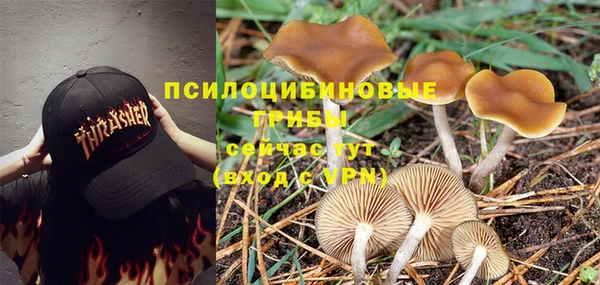 стаф Алексеевка