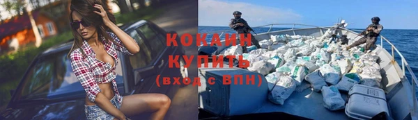 шишки Абдулино