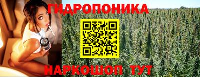 мдпв Краснознаменск